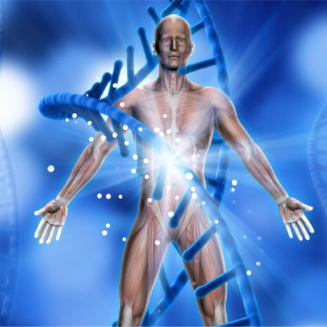 Cellular Health