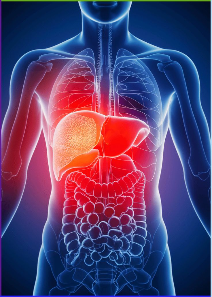 Liver Health