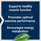 Life Extension Creatine Capsules - 120 Count