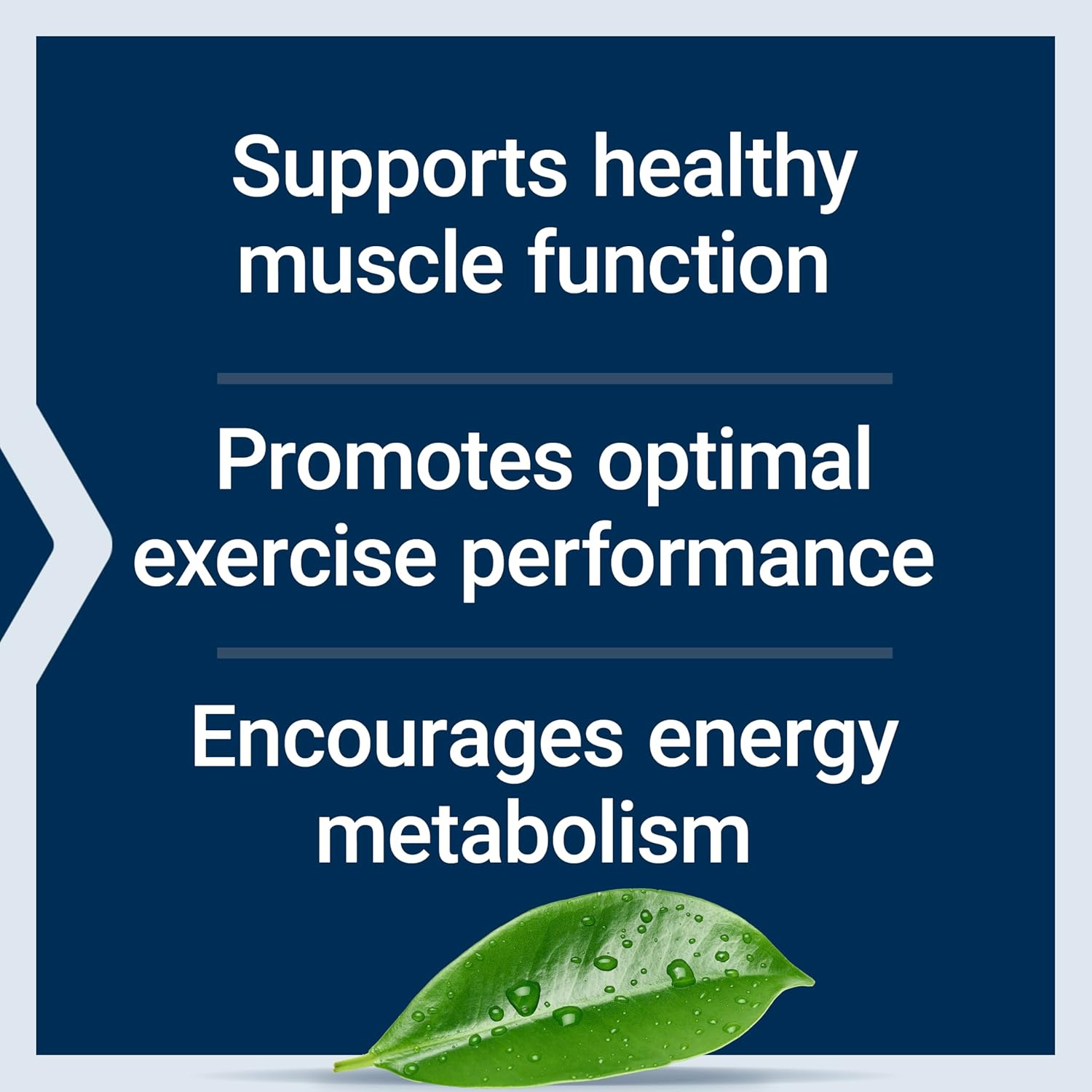 Life Extension Creatine Capsules - 120 Count