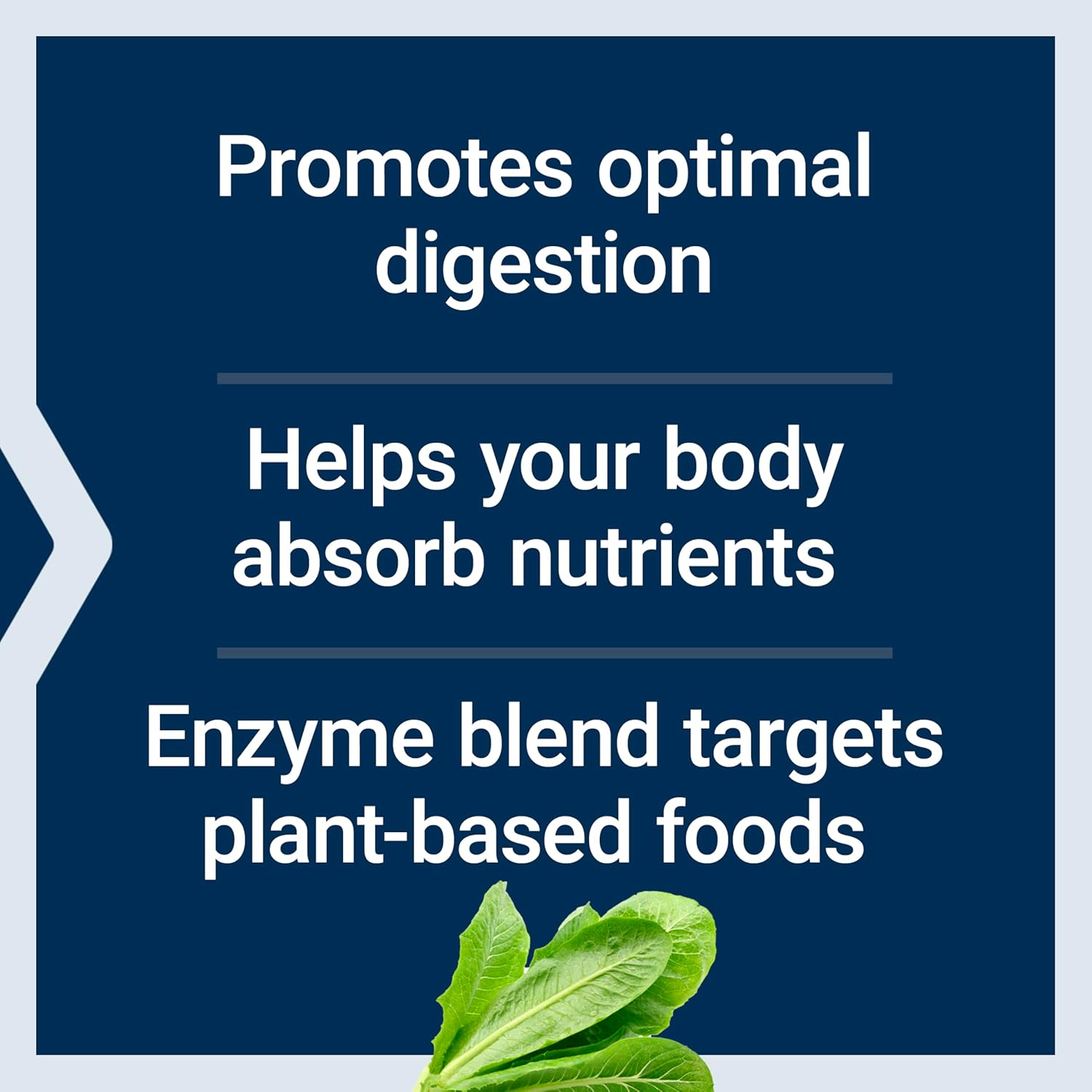 Life Extension Enhanced Super Digestive Enzymes 60 Vegetarian Capsules