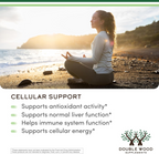 Double Wood Liposomal Glutathione 500mg per Serving, 60 Capsules