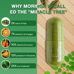 Buporai Moringa Capsules 800mg - Maximum Potency - 120 Count