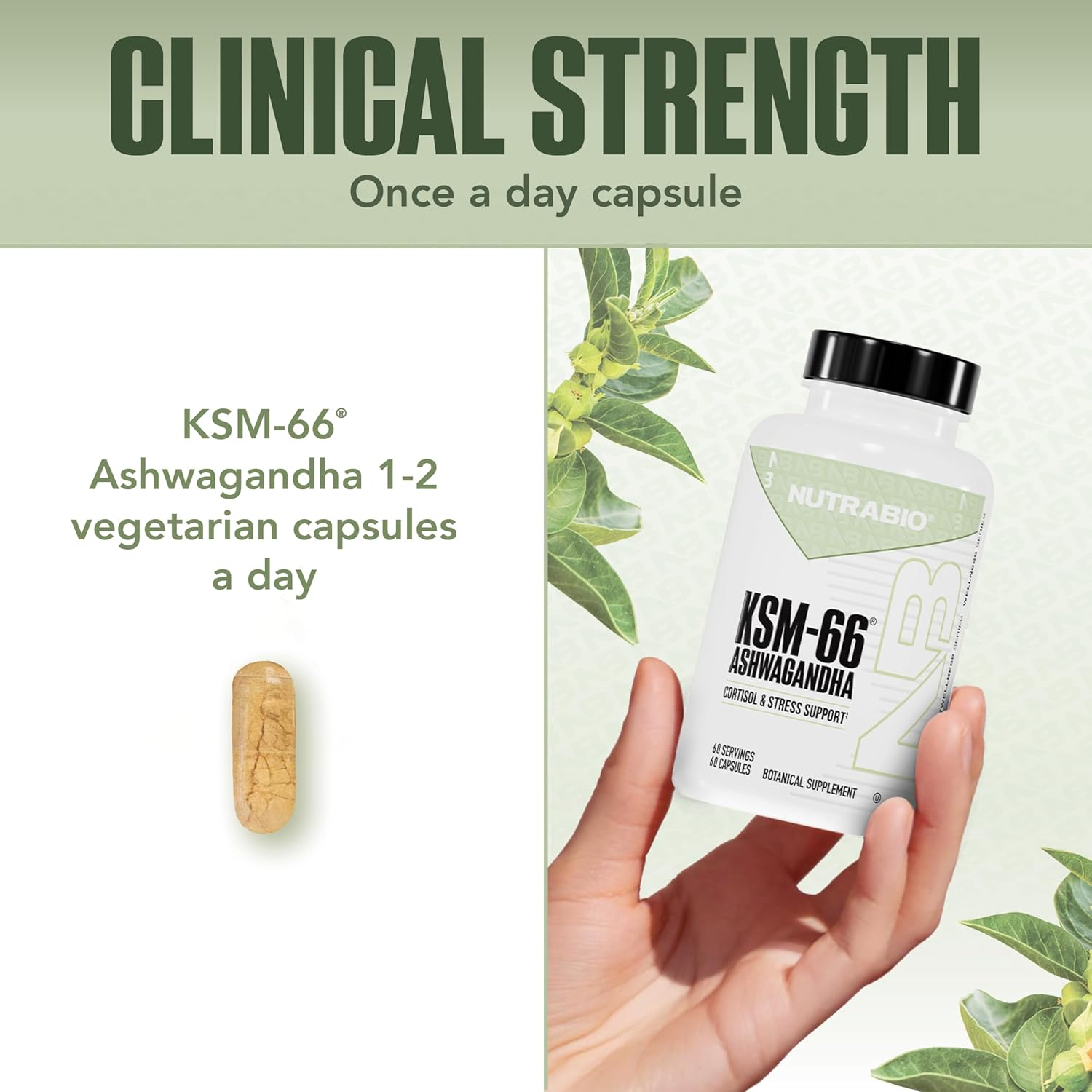 NutraBio KSM-66® Ashwagandha 600mg 90 Capsules