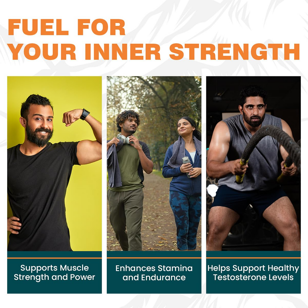 Himalaya Shilajit Capsules - 60 Count