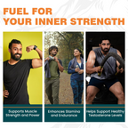 Himalaya Shilajit Capsules - 60 Count