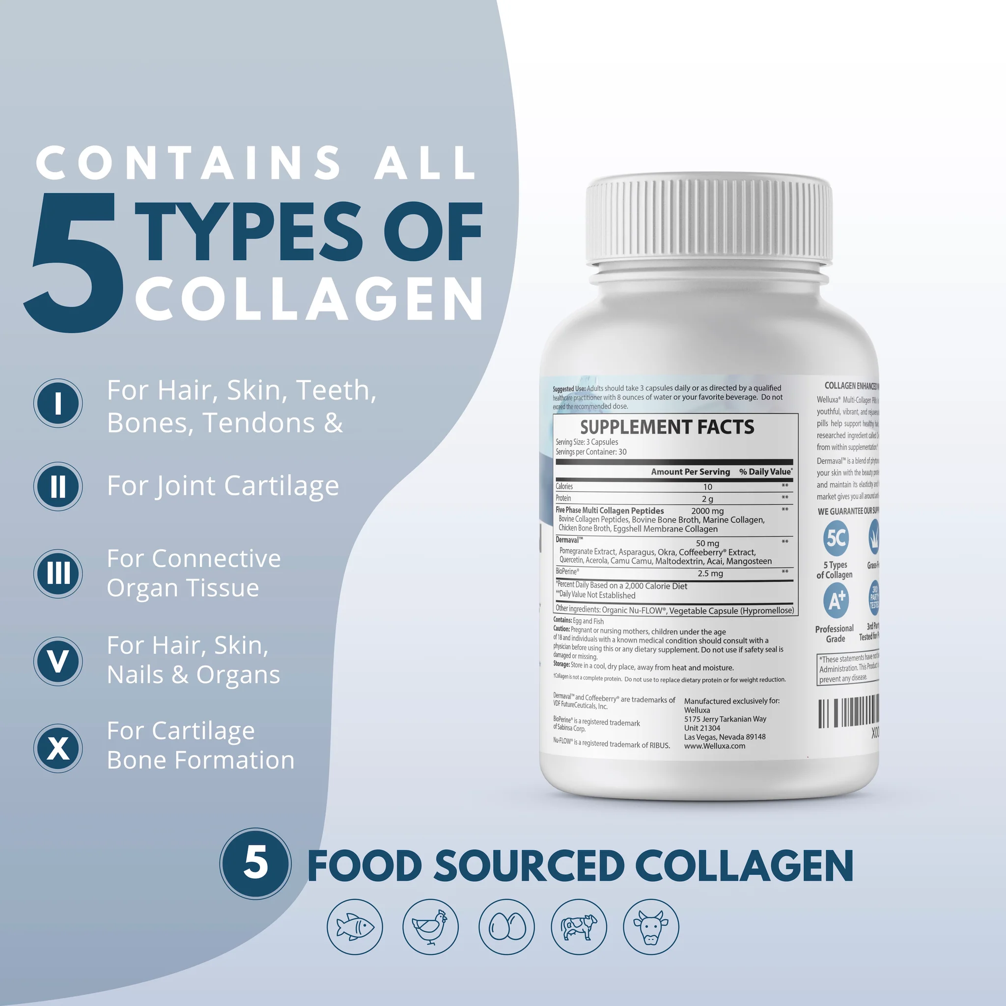 Welluxa Multi-Collagen Peptide with Dermaval Type I, II, III, V, X 90 Caps (2,000mg Per serving)